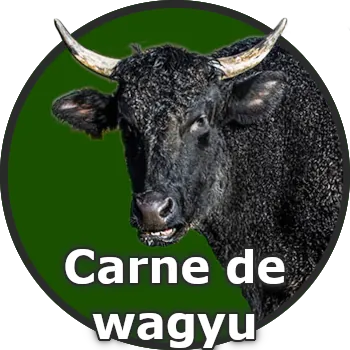 Carne de wagyu para venta al por mayor a restaurantes y negocios de alimentación.